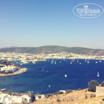 фото из отзыва ID 1592071