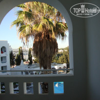 фото из отзыва ID 1592196