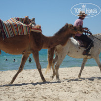 фото из отзыва ID 1592196