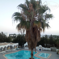 фото из отзыва ID 1592196