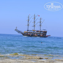 фото из отзыва ID 1592336