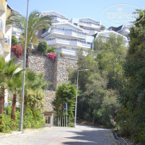 фото из отзыва ID 1592336