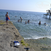 фото из отзыва ID 1592336