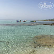 фото из отзыва ID 1592364