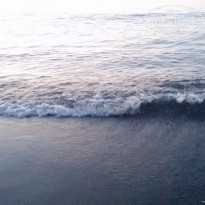 фото из отзыва ID 1592526