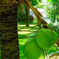 фото из отзыва ID 1592597