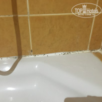 фото из отзыва ID 1592674