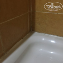 фото из отзыва ID 1592674