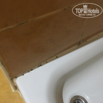 фото из отзыва ID 1592674