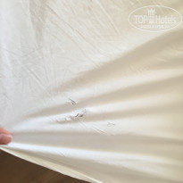 фото из отзыва ID 1592674