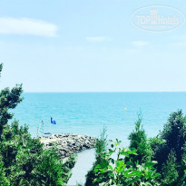 фото из отзыва ID 1592693