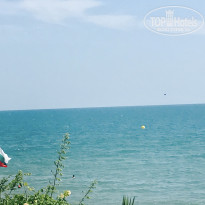 фото из отзыва ID 1592693