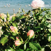 фото из отзыва ID 1592693