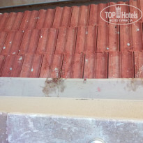 фото из отзыва ID 1592808