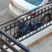 фото из отзыва ID 1592808