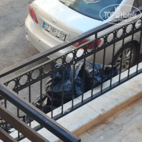 фото из отзыва ID 1592808