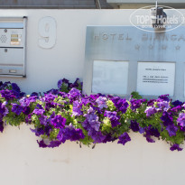 фото из отзыва ID 1592847