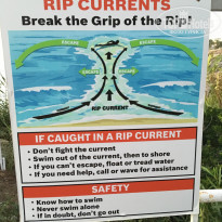 фото из отзыва ID 1592854