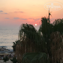 фото из отзыва ID 1592854