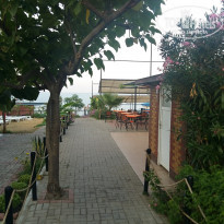 фото из отзыва ID 1592921