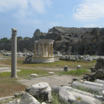 фото из отзыва ID 1592999