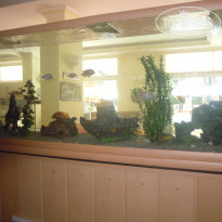 фото из отзыва ID 1593100