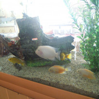 фото из отзыва ID 1593100