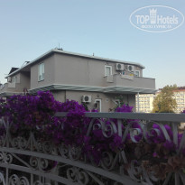 фото из отзыва ID 1593173