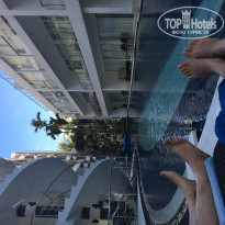 фото из отзыва ID 1592048