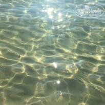 фото из отзыва ID 1593404