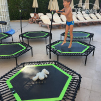 фото из отзыва ID 1593404