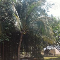 фото из отзыва ID 1593438