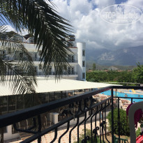 фото из отзыва ID 1593462