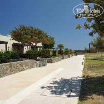 фото из отзыва ID 1593509