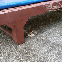 фото из отзыва ID 1593588