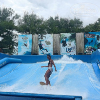 фото из отзыва ID 1593624