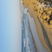 фото из отзыва ID 1593657