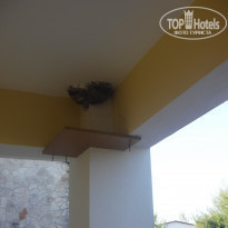 фото из отзыва ID 1593736