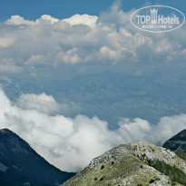 фото из отзыва ID 1593690