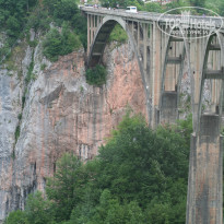 фото из отзыва ID 1593690