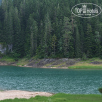 фото из отзыва ID 1593690