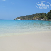 фото из отзыва ID 1593879