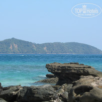 фото из отзыва ID 1593879