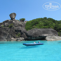 фото из отзыва ID 1593879