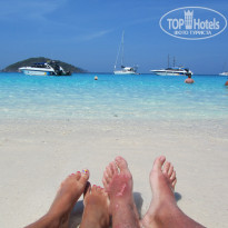 фото из отзыва ID 1593879