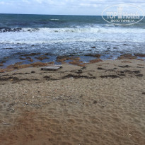 фото из отзыва ID 1593945