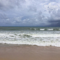 фото из отзыва ID 1593908