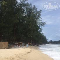 фото из отзыва ID 1593908