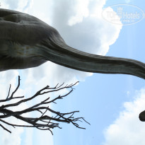 фото из отзыва ID 1593910