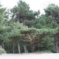 фото из отзыва ID 1593910